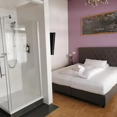 Hotel Altstadthotel Bachbraeu *